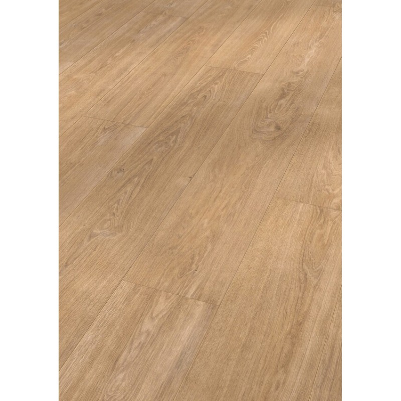 ROBLE TOFFEE 6275 LL250 MEISTER