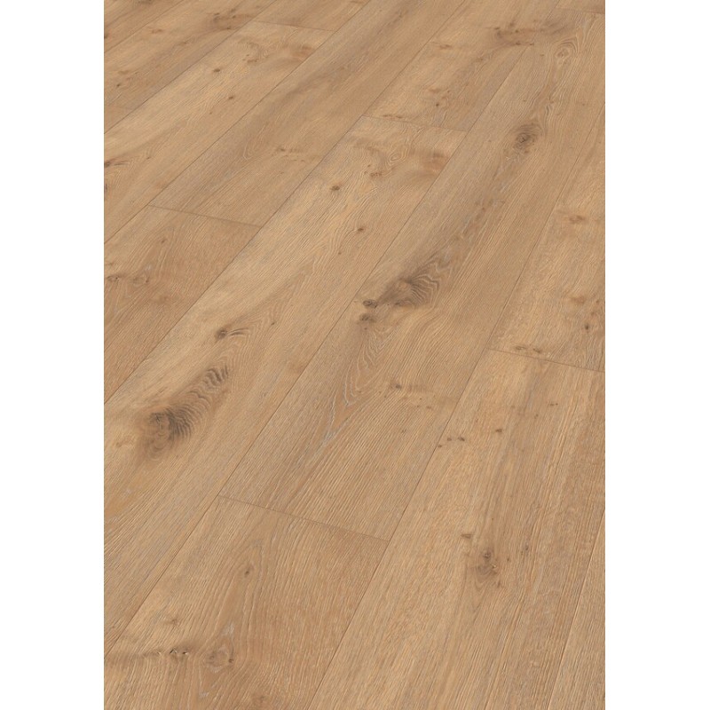ROBLE DAKAR 6385 LL250 MEISTER