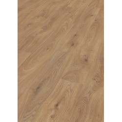 ROBLE TRENTINO 6393 LC150 MEISTER