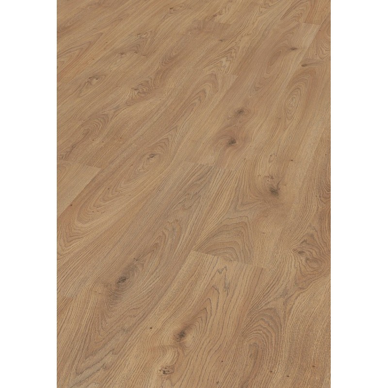 ROBLE TRENTINO 6393 LC150 MEISTER
