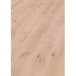 HAYA ROYAL 6388 LC150 MEISTER