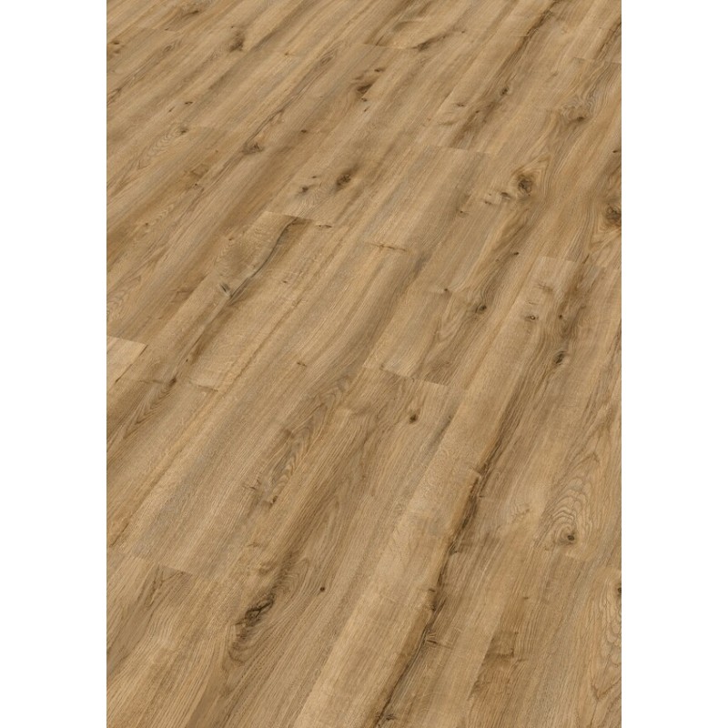 ROBLE BERGAMO 6851 LC150 MEISTER