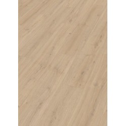 MEISTER LD250 ROBLE ROCA ARENA 7122