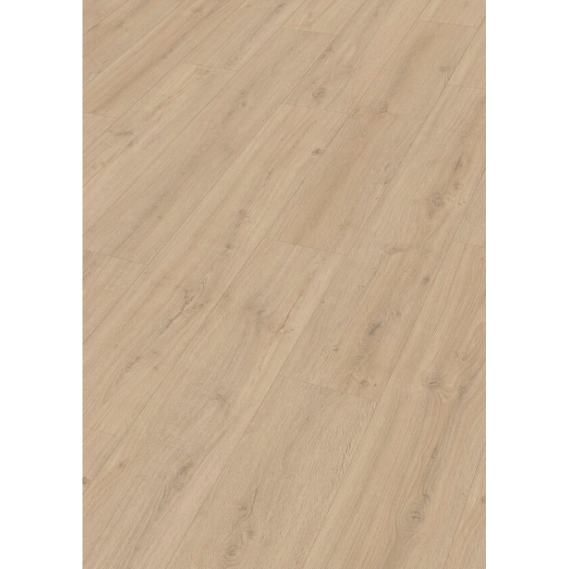 MEISTER LD250 ROBLE ROCA ARENA 7122