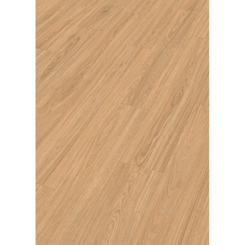 MEISTER LD250 ROBLE PRINCESS ARENA 6895