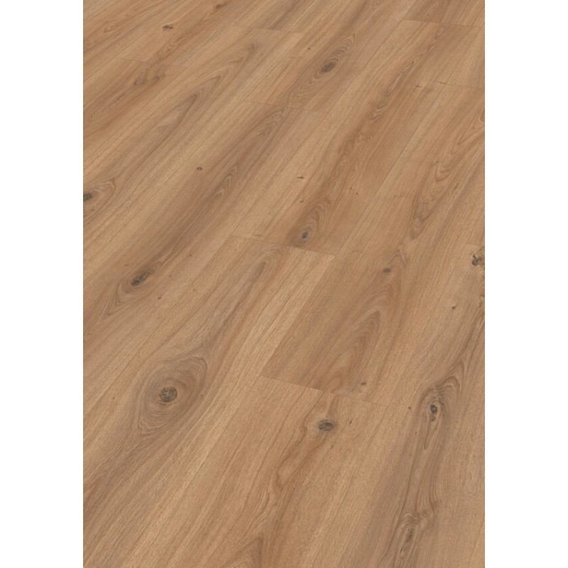 MEISTER LD200 ROBLE FUENTE 7110