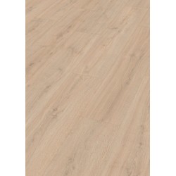 MEISTER LD200 ROBLE ROCA ARENA 7122