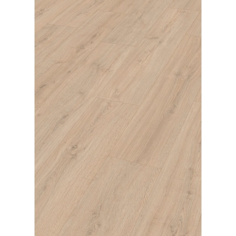 MEISTER LD200 ROBLE ROCA ARENA 7122