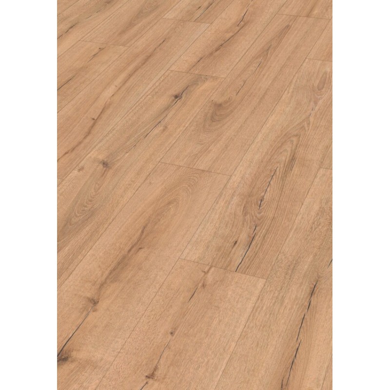 MEISTER LD200 ROBLE LOBO 7146