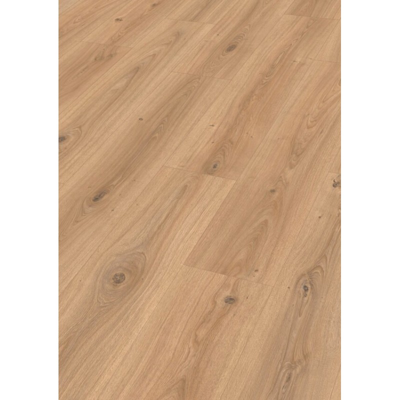 MEISTER LD200 ROBLE FUENTE PURO 7152