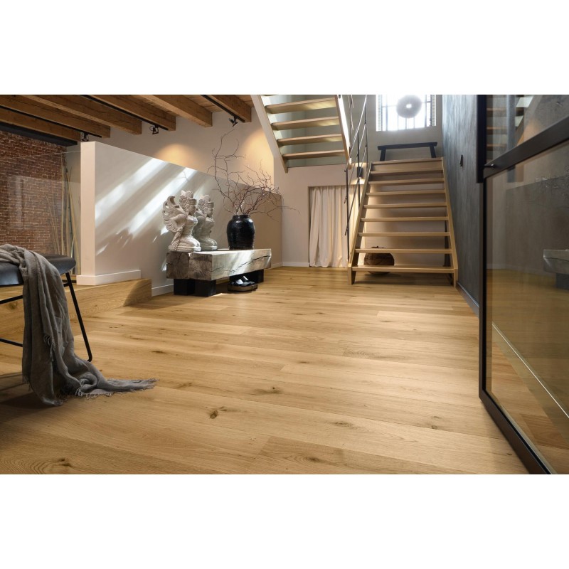 MEISTER PD 400 ROBLE AUTENTICO PURO 9004