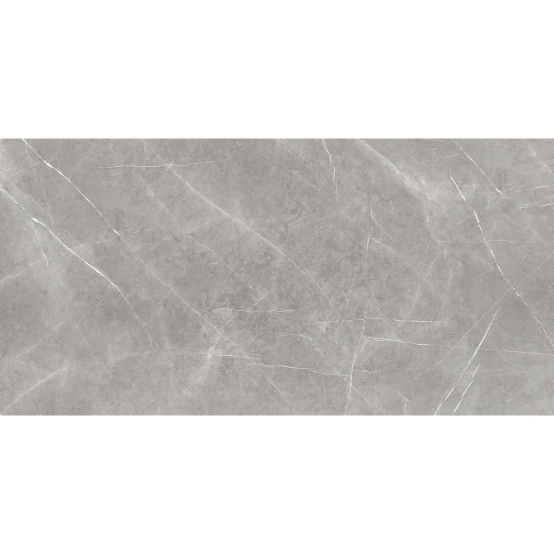 ARMANI SILVER PULIDO 12MM