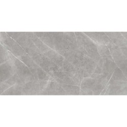 ARMANI SILVER MATE 20MM