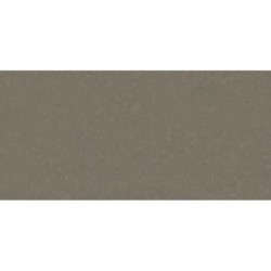 BRASH RELISH SUEDE 20MM