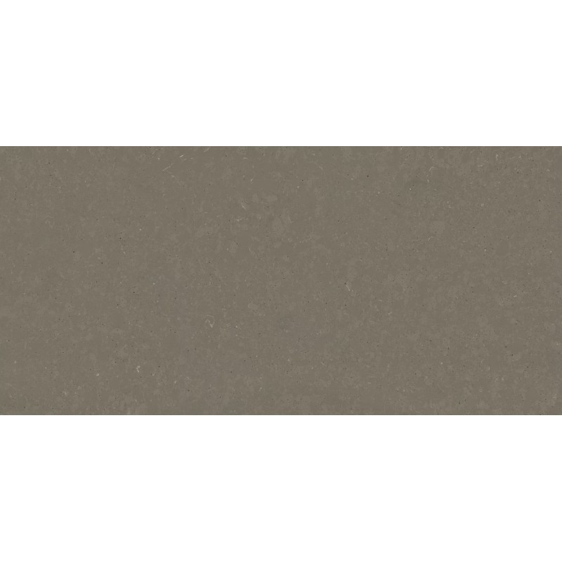 BRASH RELISH SUEDE 20MM