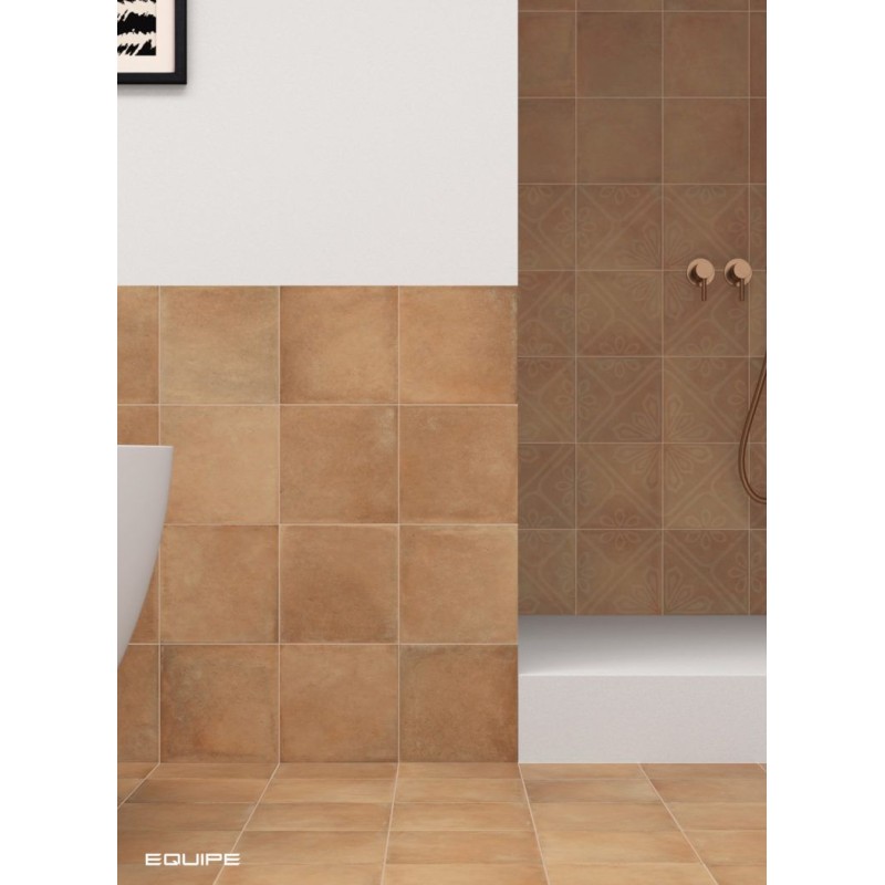 ARES DECORADA COTTO 20X20