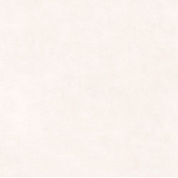 Concrete BONE Satinado 100x100 New Tiles