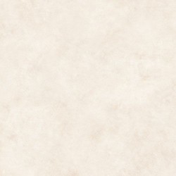 Concrete DESERT Plus+ 50x100 New Tiles