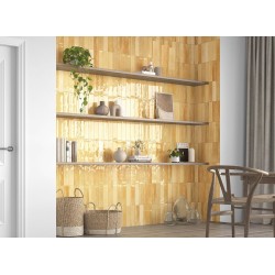 ZELLIGE COAL PULIDO 7X28