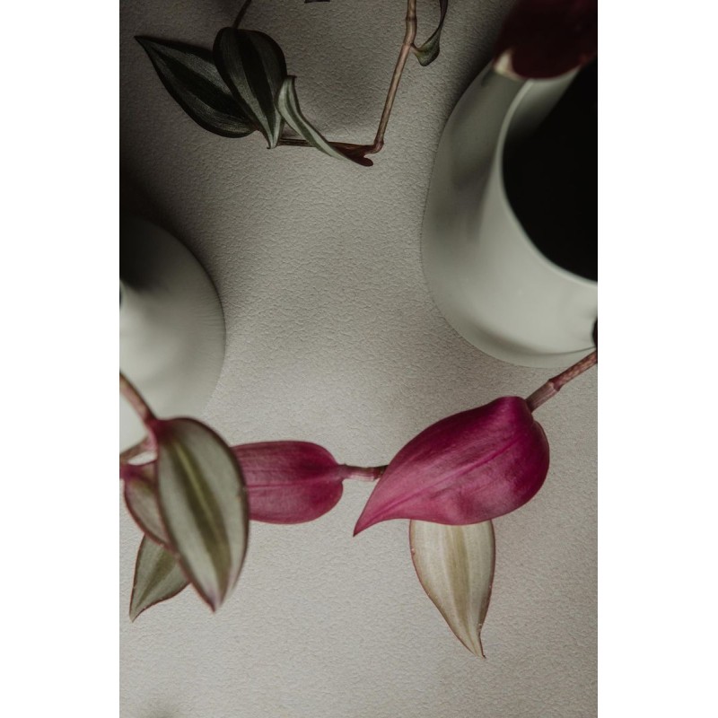 MAÓ MARFIL NATURAL 60X120 RECTIFICADO