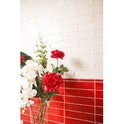 Azulejo Cevica Alaska Rojo 7,5x30 brillo