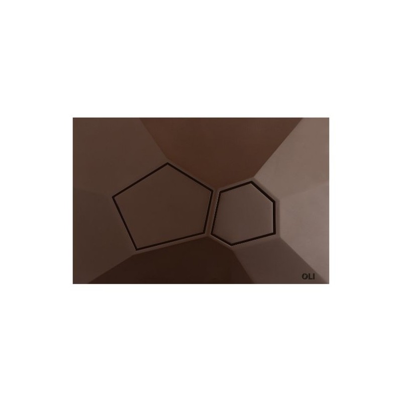 Pulsador OLI Voronoi Raw Umber | Doble Descarga Mate