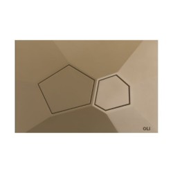 Pulsador OLI Voronoi Organic Gold | Doble Descarga Mate