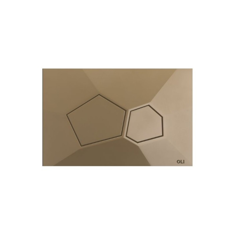 Pulsador OLI Voronoi Organic Gold | Doble Descarga Mate