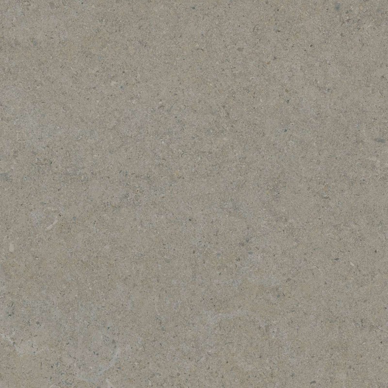Calcare Gris Medio Semipulido 60x60 cm - TAU Cerámica