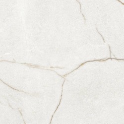RAFFAELLO IVORY MATE SEDOSO 60X60 RECTIFICADO - Argenta Cerámica