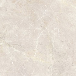 Gres porcelánico de gran formato Augustus Cream efecto mármol natural 120x120