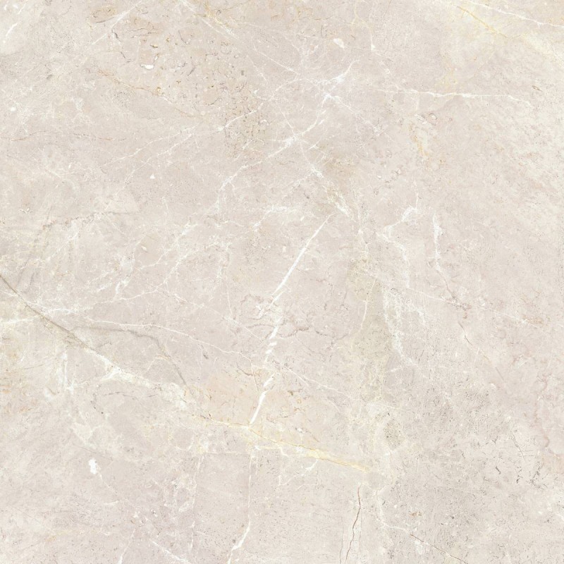 Gres porcelánico de gran formato Augustus Cream efecto mármol natural 120x120