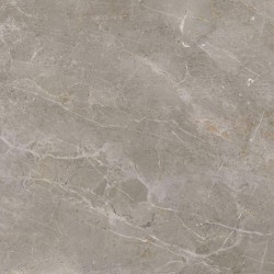 Gres porcelánico de gran formato Augustus Brown efecto mármol natural 120x120