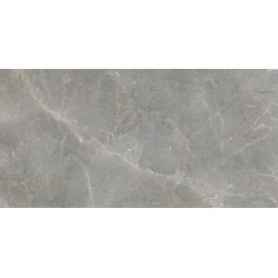Gres porcelánico Augustus Grey efecto mármol natural 60x120