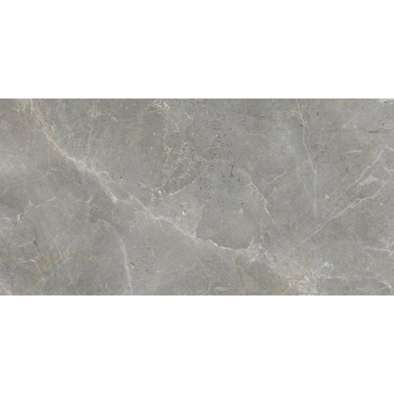 Gres porcelánico Augustus Grey efecto mármol natural 60x120