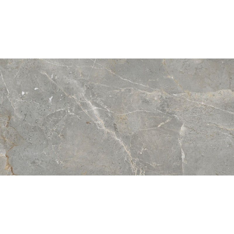 Gres porcelánico Augustus Grey efecto mármol pulido 60x120