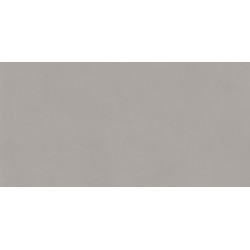 Pavimento porcelánico 20mm exterior Studio Grey antideslizante efecto cemento 50x100 cm Aparici