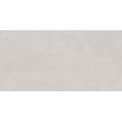 ESSENZA VECTA SILVER OUT MATE 60X120 RECTIFICADO