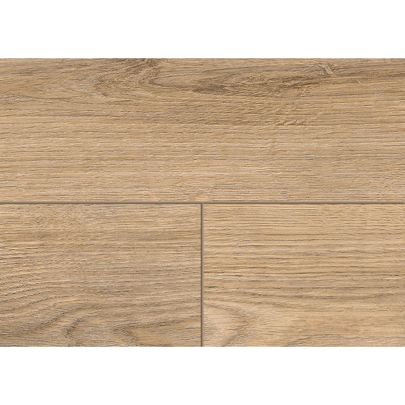 HYDROCLICK ROBLE PALACIO