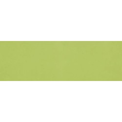Revestimiento cerámico Liso de Ribesalbes en color Verde, acabado brillo, formato 10x30 cm