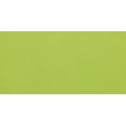Revestimiento cerámico Liso de Ribesalbes en color Verde, acabado brillo, formato 10x20 cm