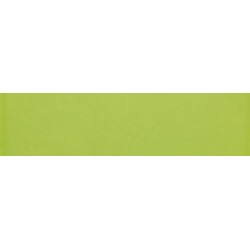 Revestimiento cerámico Liso de Ribesalbes en color Verde, acabado brillo, formato 10x40 cm