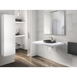 Lavabo de color Negro de Roca Sanitarios