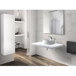 Lavabo de color Blanco de Roca Sanitarios