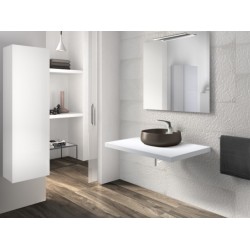 Lavabo de color Marrón de Roca Sanitarios