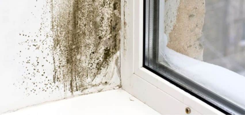 humedad condensacion ventanas