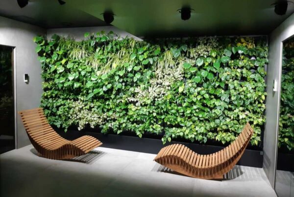 salón con plantas en vertical