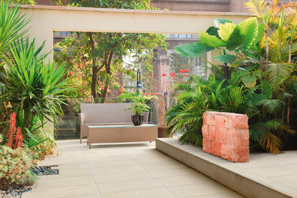 terraza con plantas