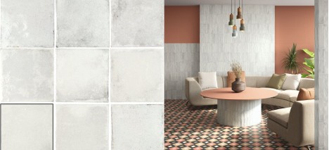 Azulejos Savannah de Ape