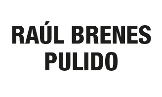 Raúl Brenes Pulido
